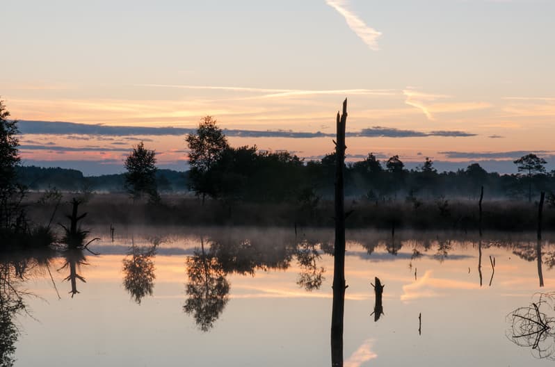 Herbststimmung am Moor Lüneburger Heide
