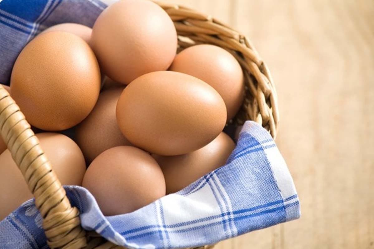 Urlaub auf dem Bauernhof Eier