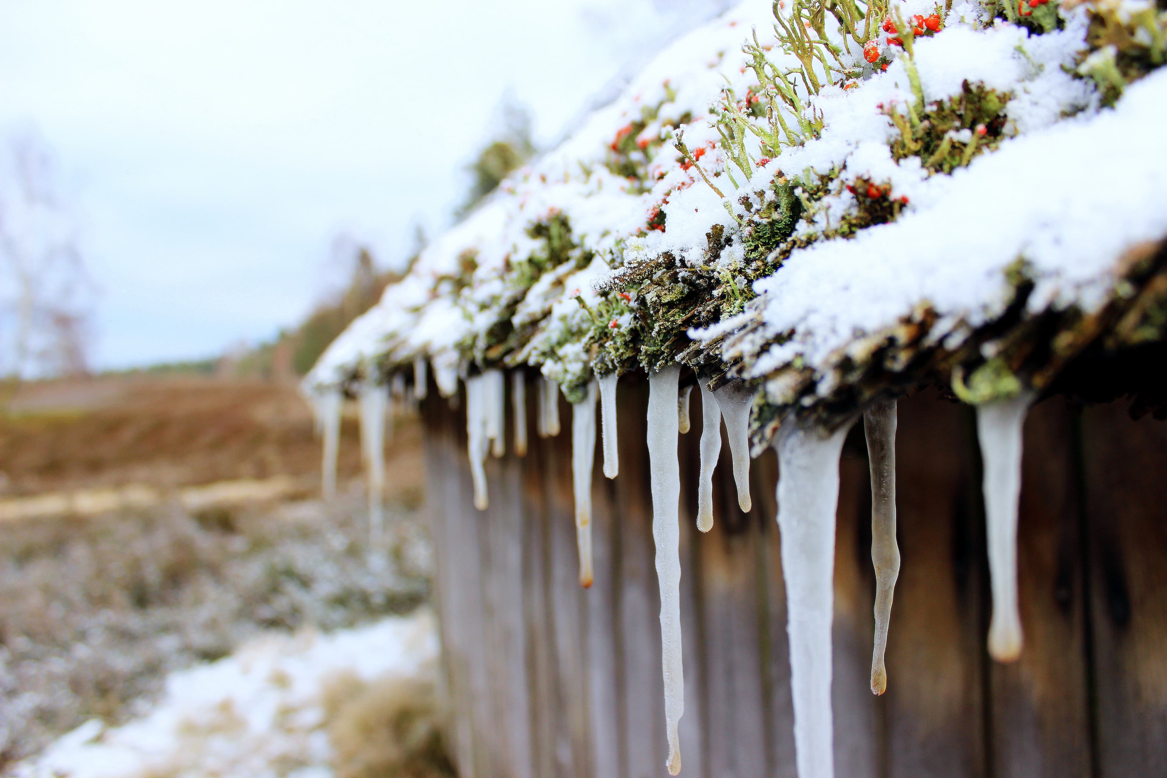 Eiszapfen am Bienenzaun in der Lüneburger Heide im Winter