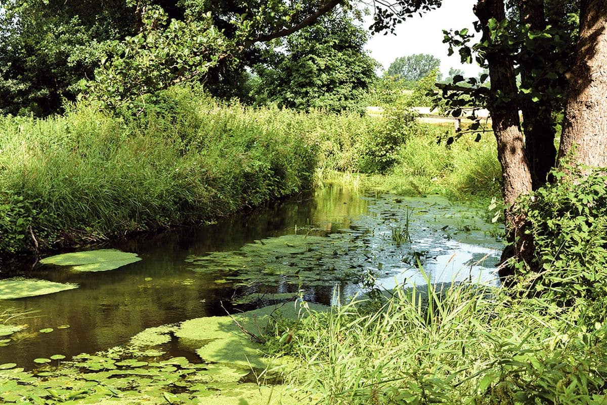 Wanderweg 2 - Die Natur im Flotwedel
