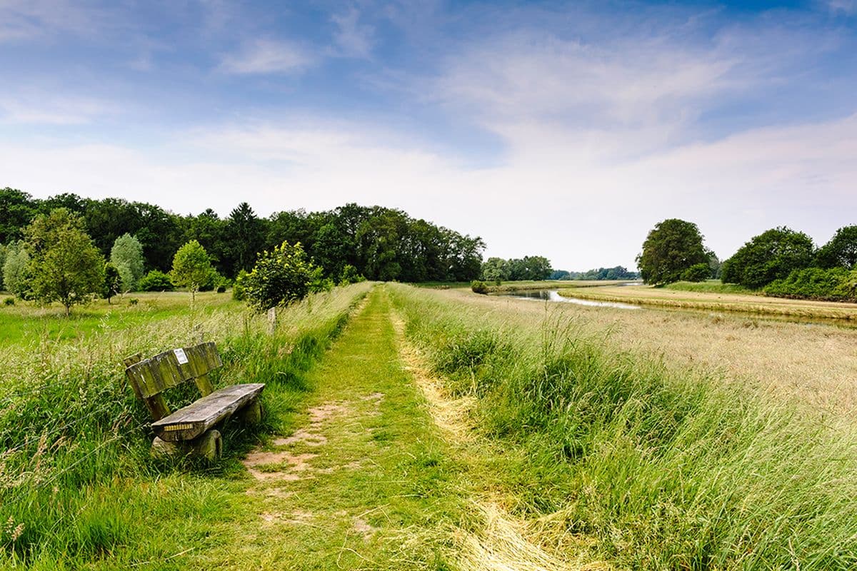 W2-Der Allerdeich bei Wienhausen