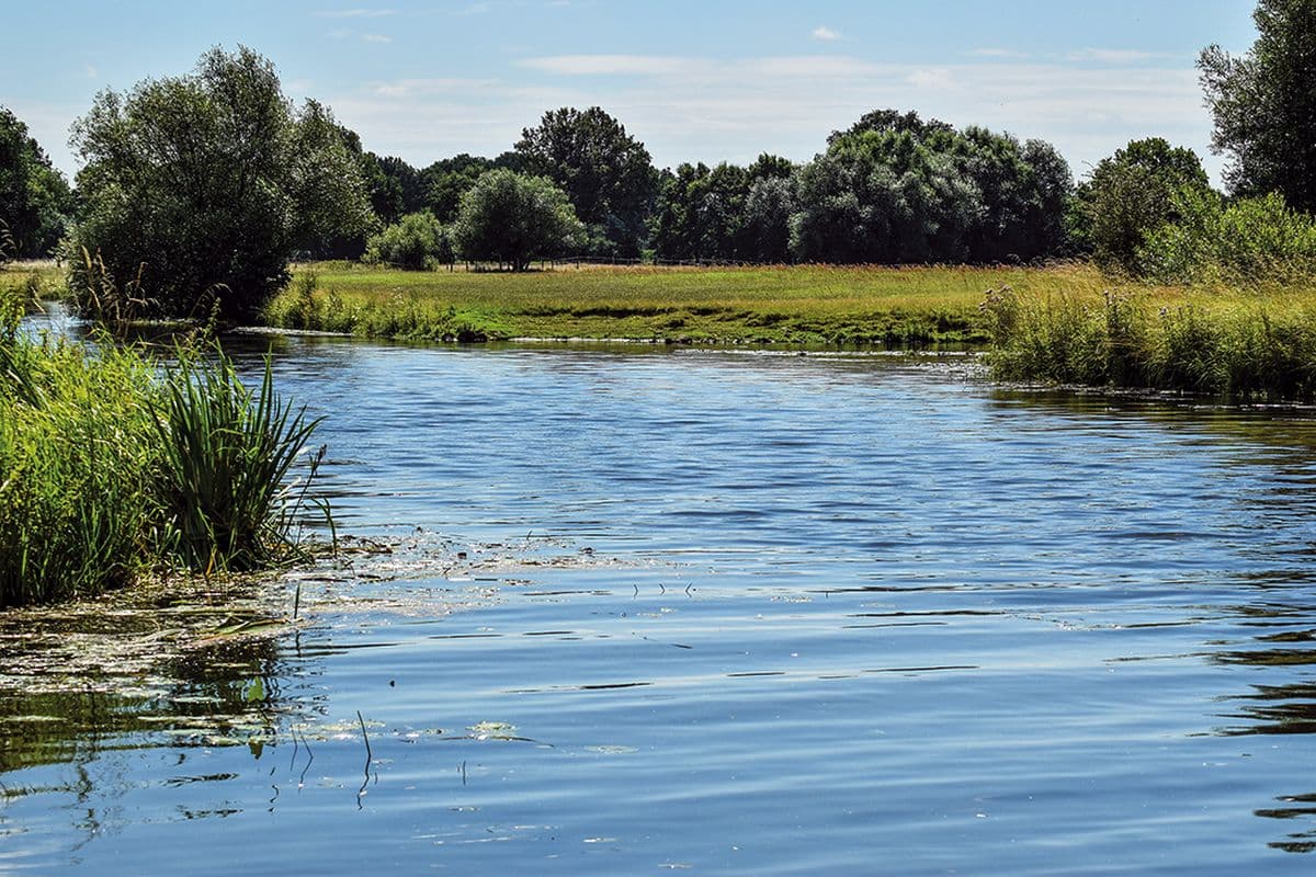 W3-Die Aller bei Wienhausen