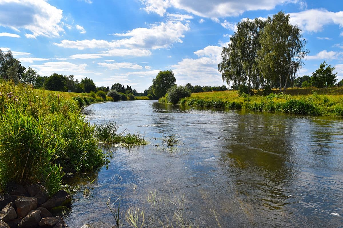 Wanderweg 5 - Die Aller bei Wienhausen