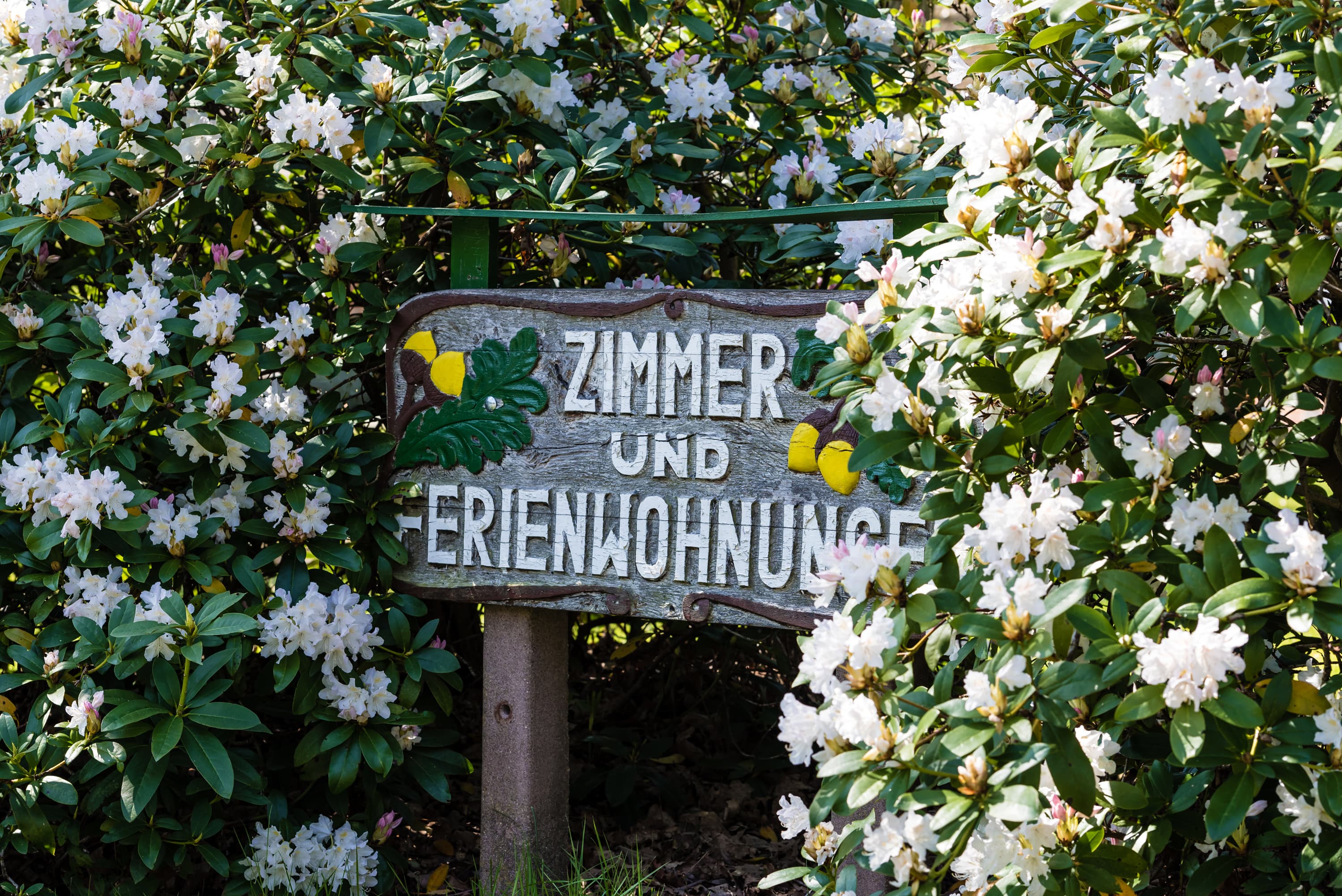 Presse Bild Frühling Lüneburger Heide Zimmer frei