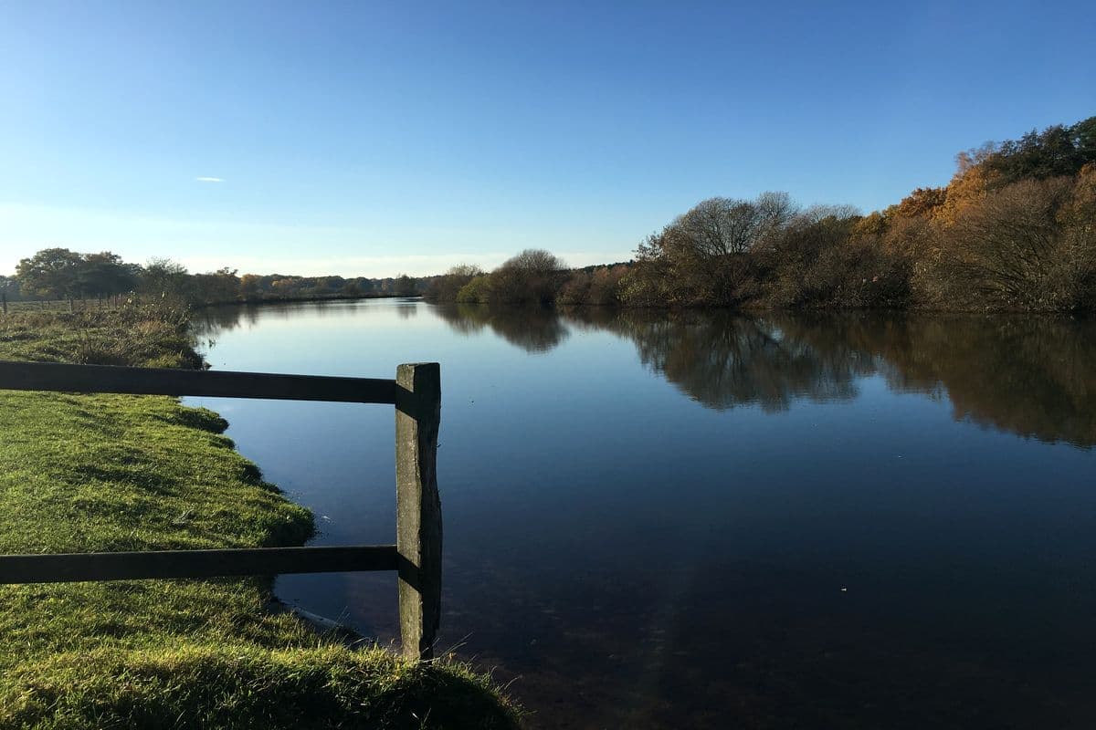 An der Aller bei Wietze