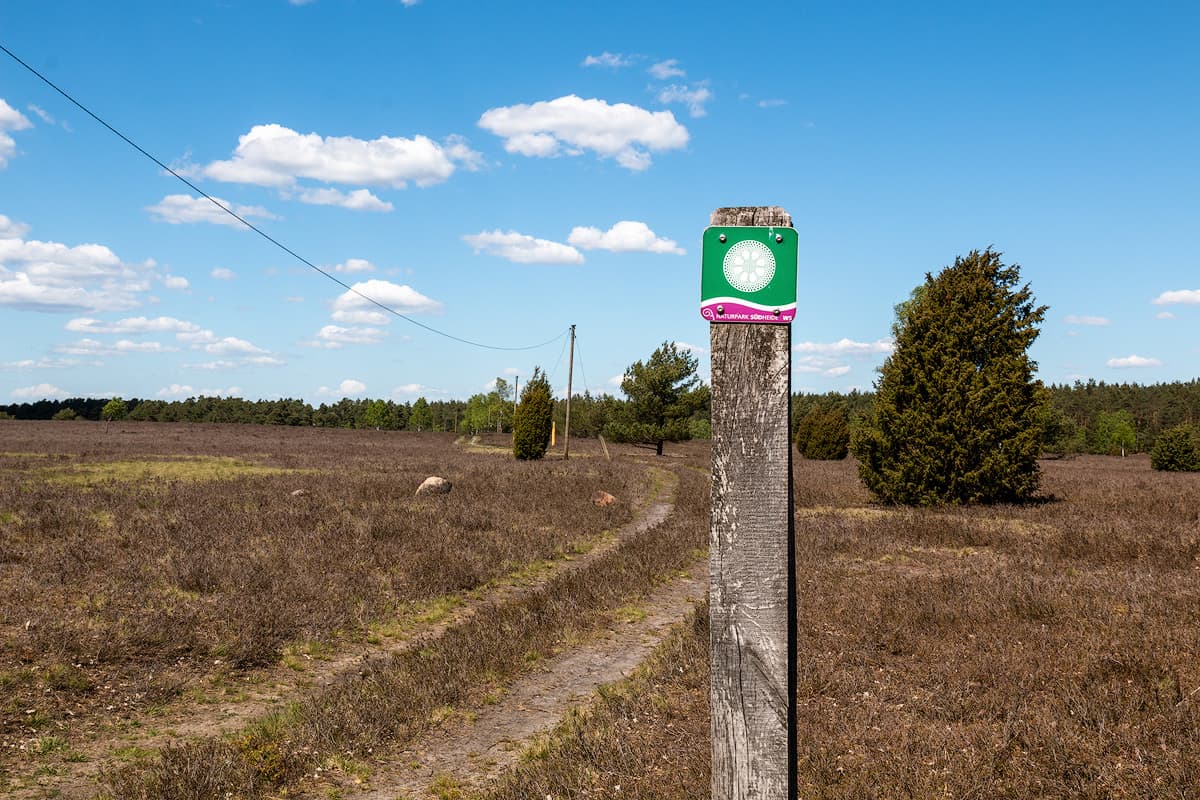 Der Kieselgur Lehrpfad in der Oberoher Heide in der Südheide der Lüneburger Heide im Frühling