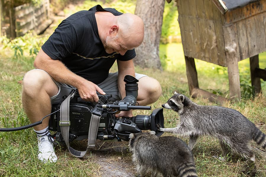 Bei den Dreharbeiten mit Sat 1 in der Südheide wurde auch der Wildpark Müden (Örtze) besucht. Die Waschbären freuten sich serh über den Besuch des Kameramanns.