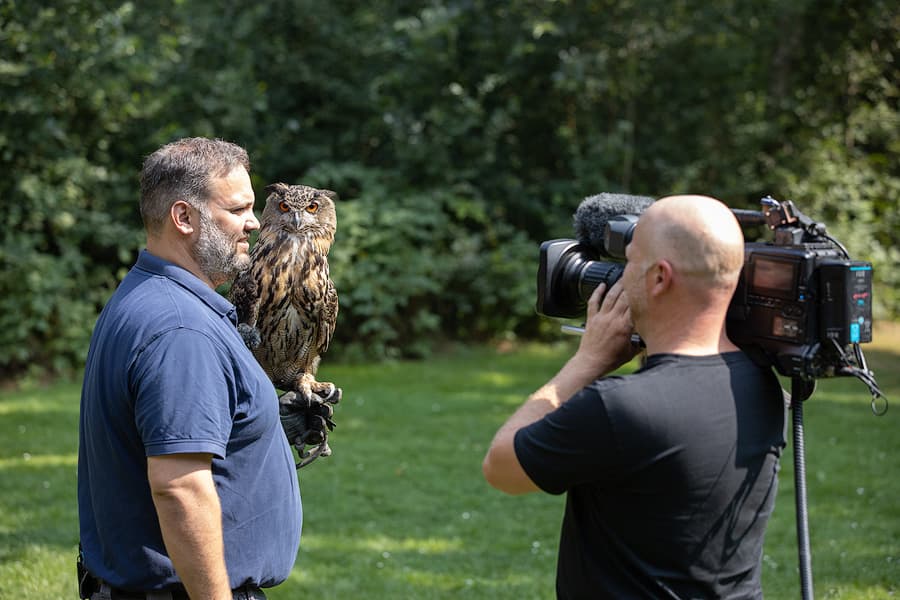 Treffe mit Thomas wamser von der Eventfalknerei im Wildpark Müden (Örtze) bei den Dreharbeiten von Sat 1 Regional in der Südheide