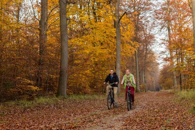 Fahrrad fahren im herbstlichen Wald