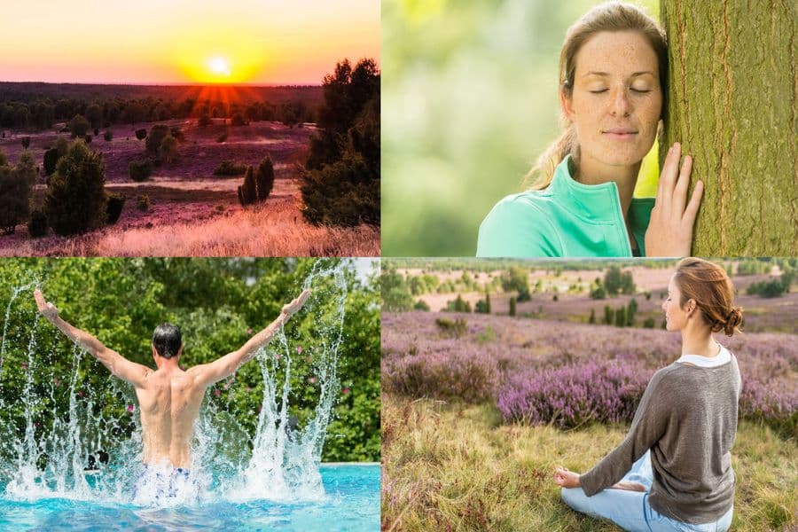 Die Kraft der vier Elemente, Feuer, Wasser, Erde, Luft im Yoga