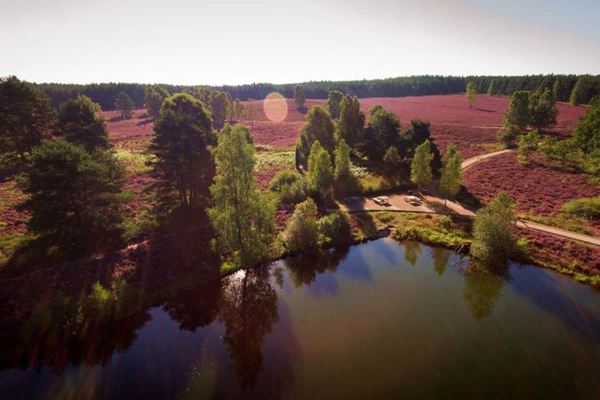 Angelbecksteich im naturpark südheide