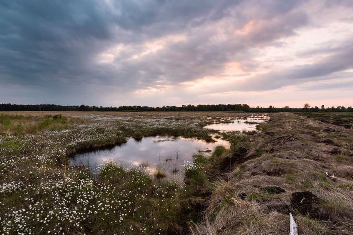 naturpark suedheide becklingen