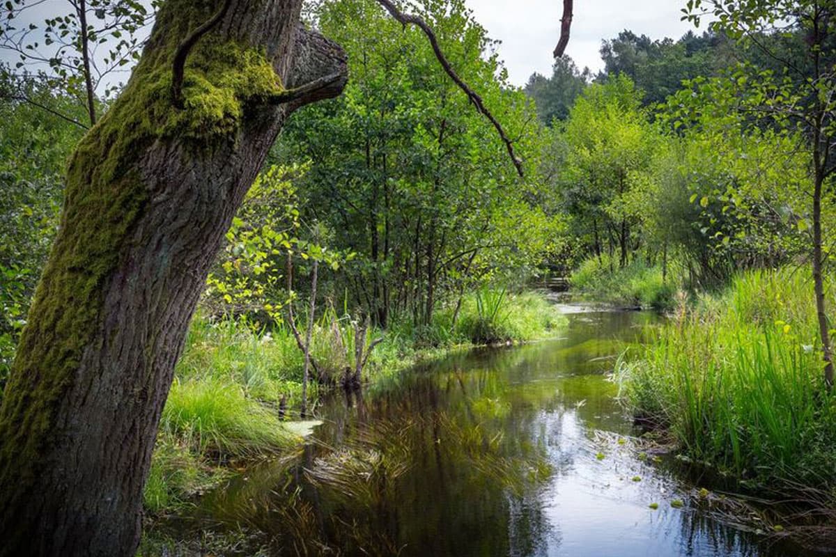 naturpark suedheide mit der lutter und dem lutter radweg