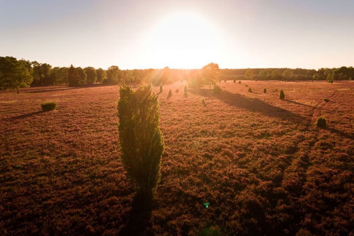 sonnen untergang im naturpark suedheide