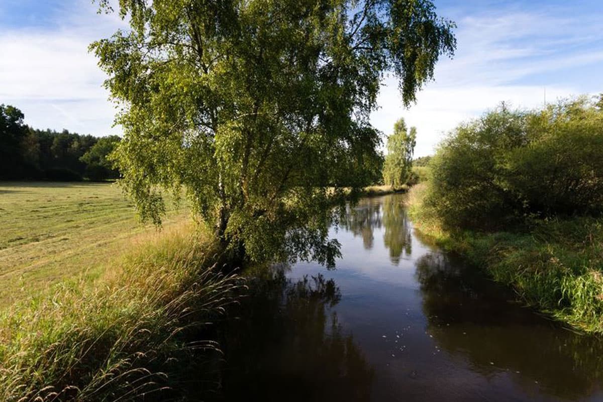 die örtze ist ein fluss durch den naturpark suedheide