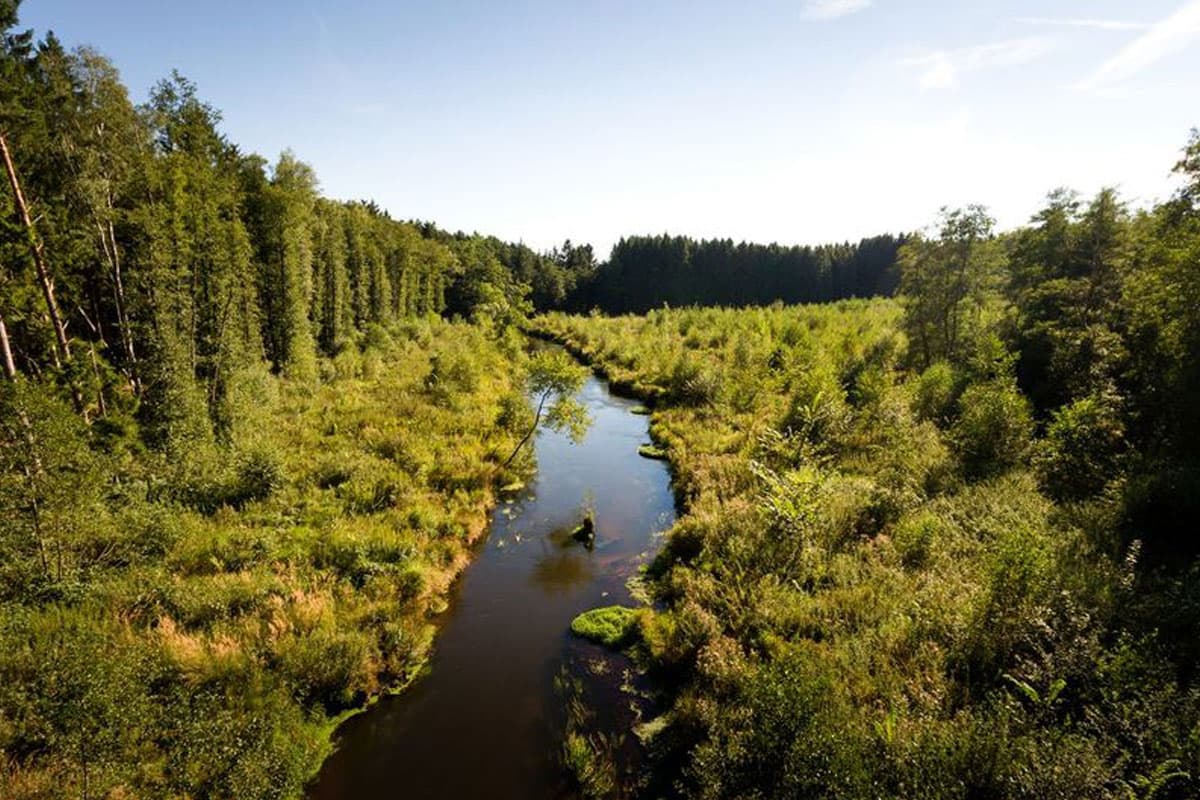 kanu fahren auf der örtze im naturpark suedheide