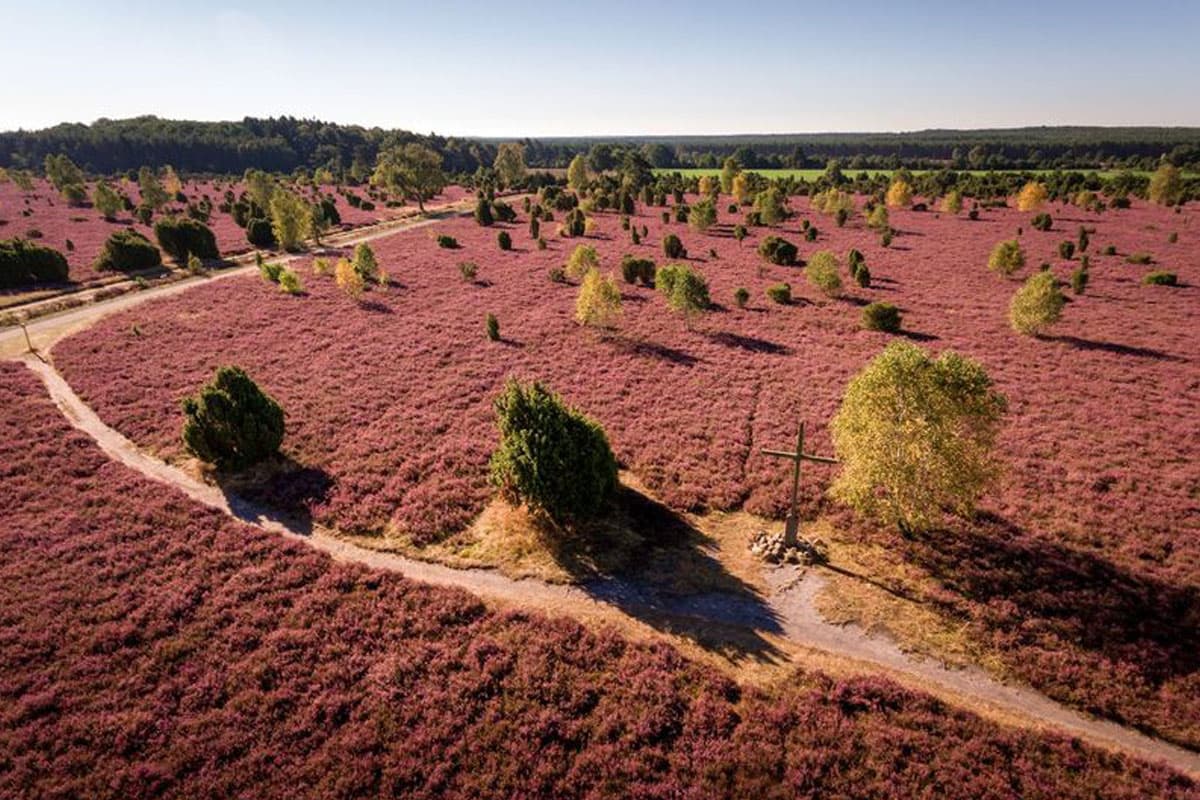 naturpark suedheide aus der luft