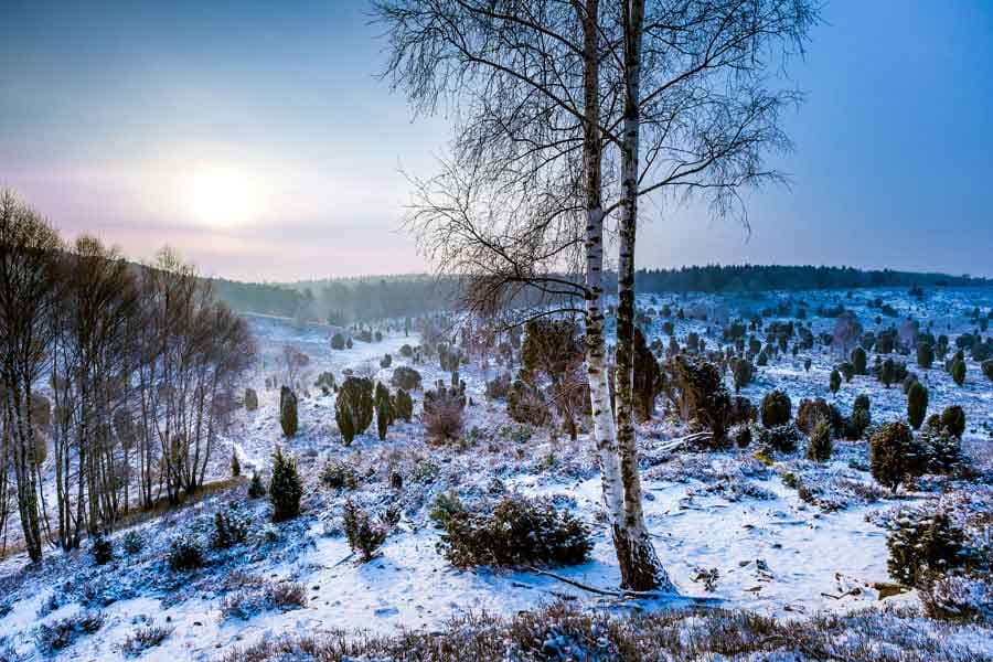 Winter Wandern in der Lüneburger Heide