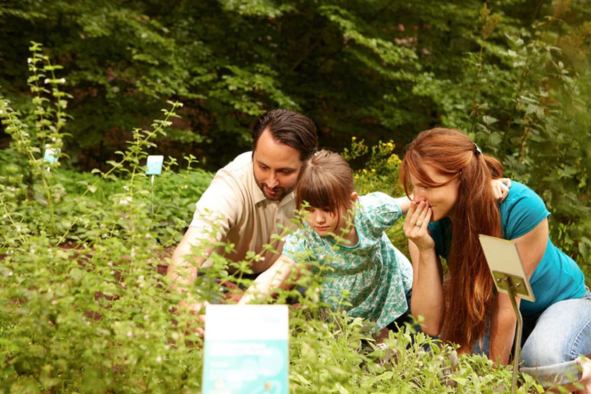 Kräutergarten im Barfusspark Egestorf
