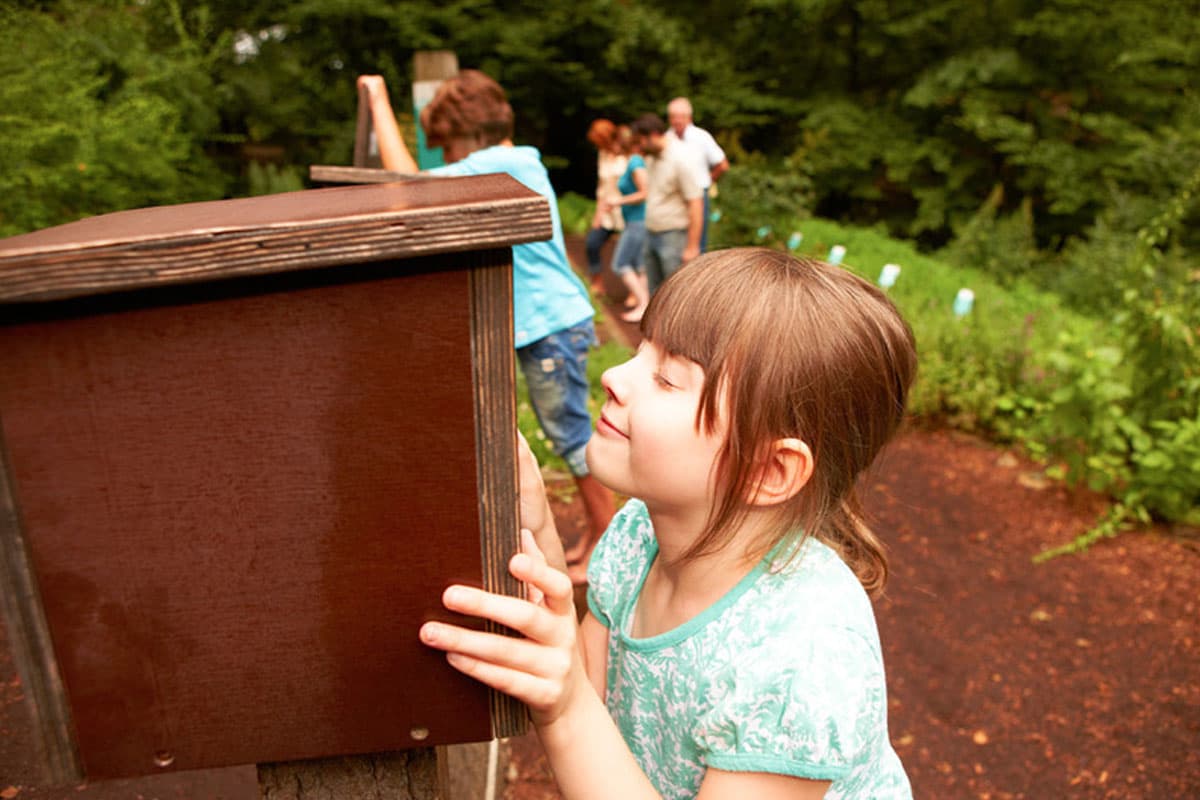 kinder haben hier im barfusspark egestorf viel spass