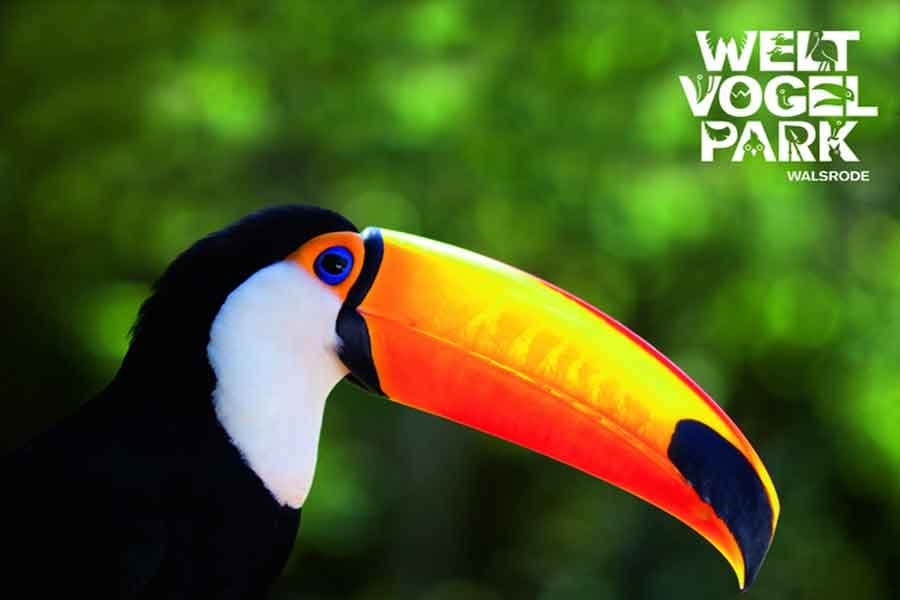 Der größte Vogelpark Europas liegt in Walsrode