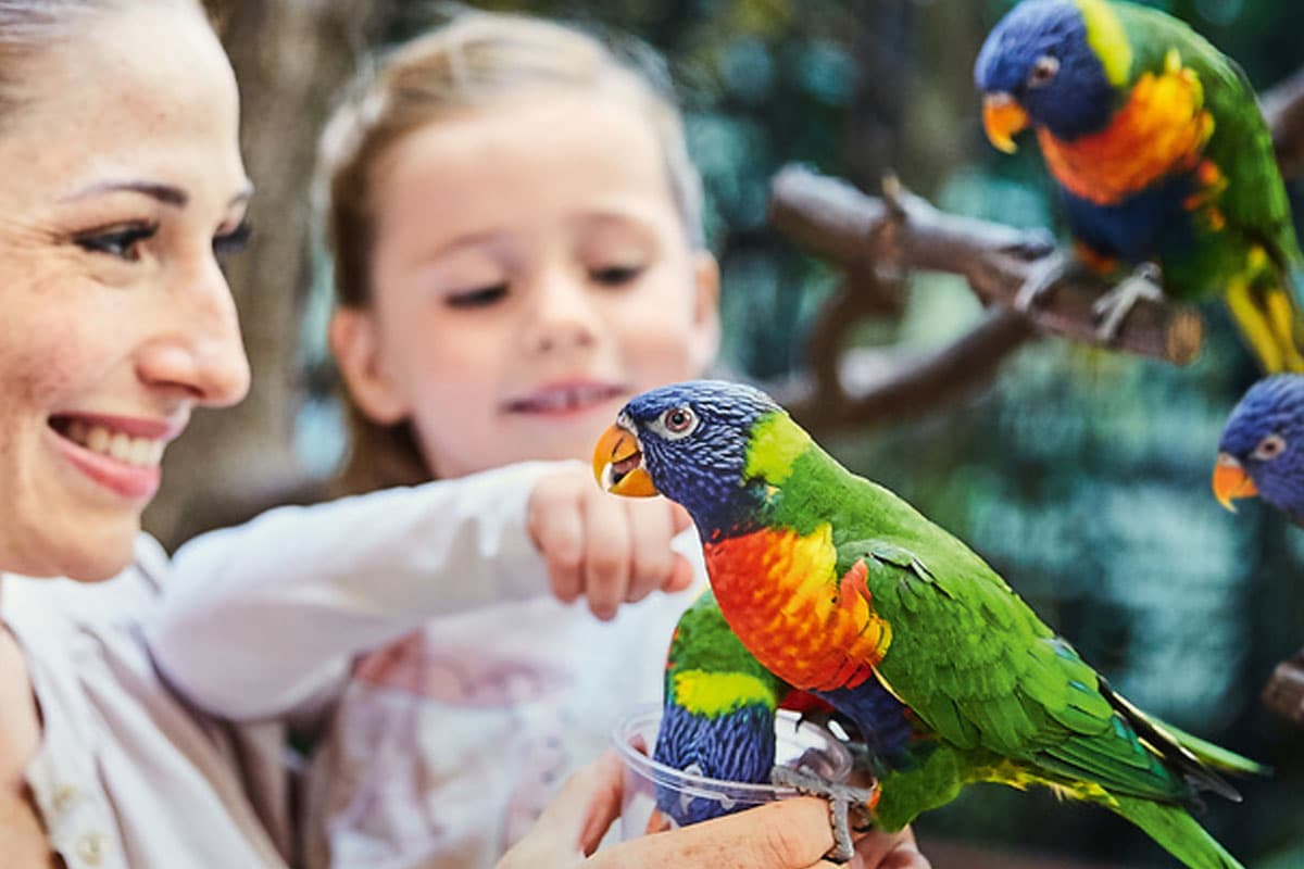 Es gibt auch Hotels in der nähe vom Vogelpark Walsrode