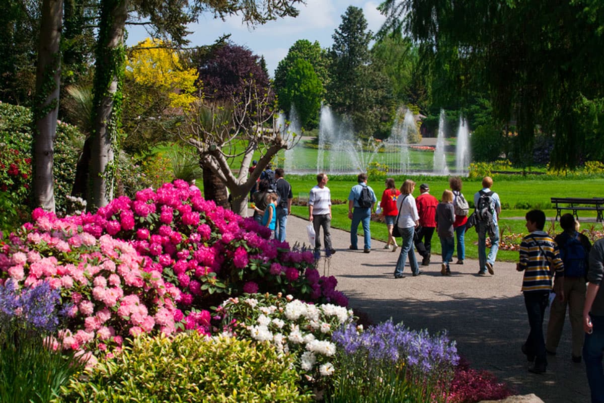 landschaftlich schön, der Vogelpark Walsrode