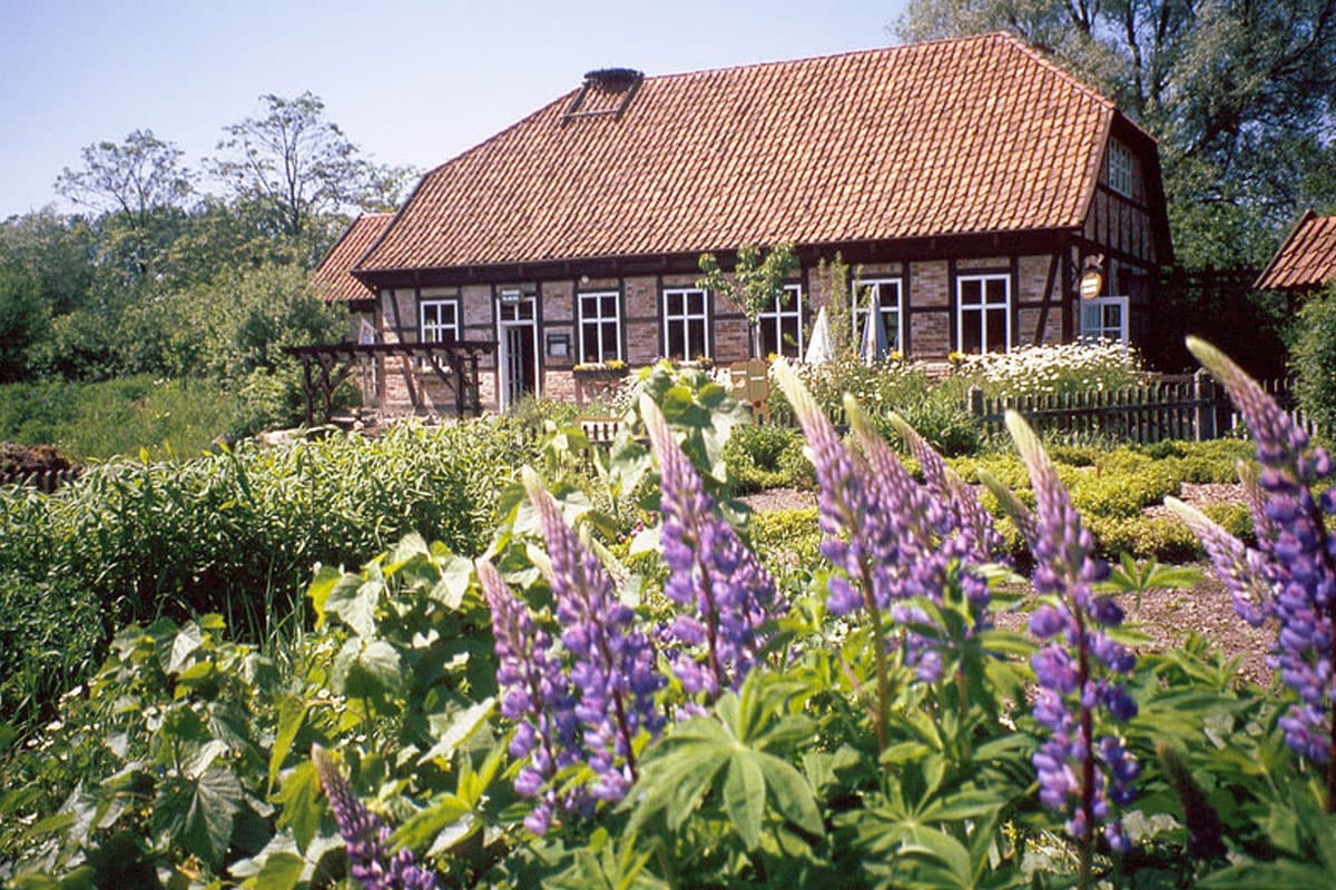 otter zentrum hankensbüttel,lanschaftlich sehr reizvoll gelegen