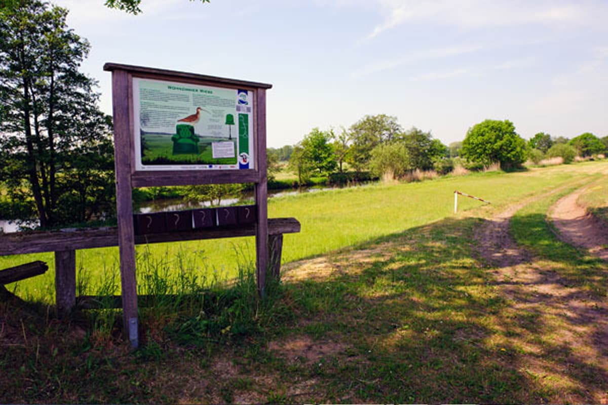 Viele Informationstafeln am Ilmenau Radweg erklären die Natur