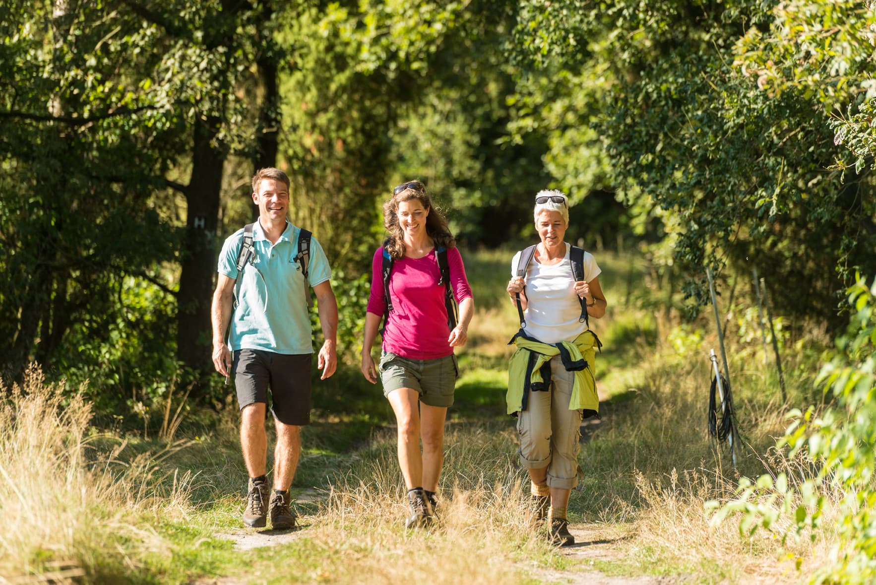 Wanderer unterwegs in der Lüneburger Heide auf dem Jakobusweg