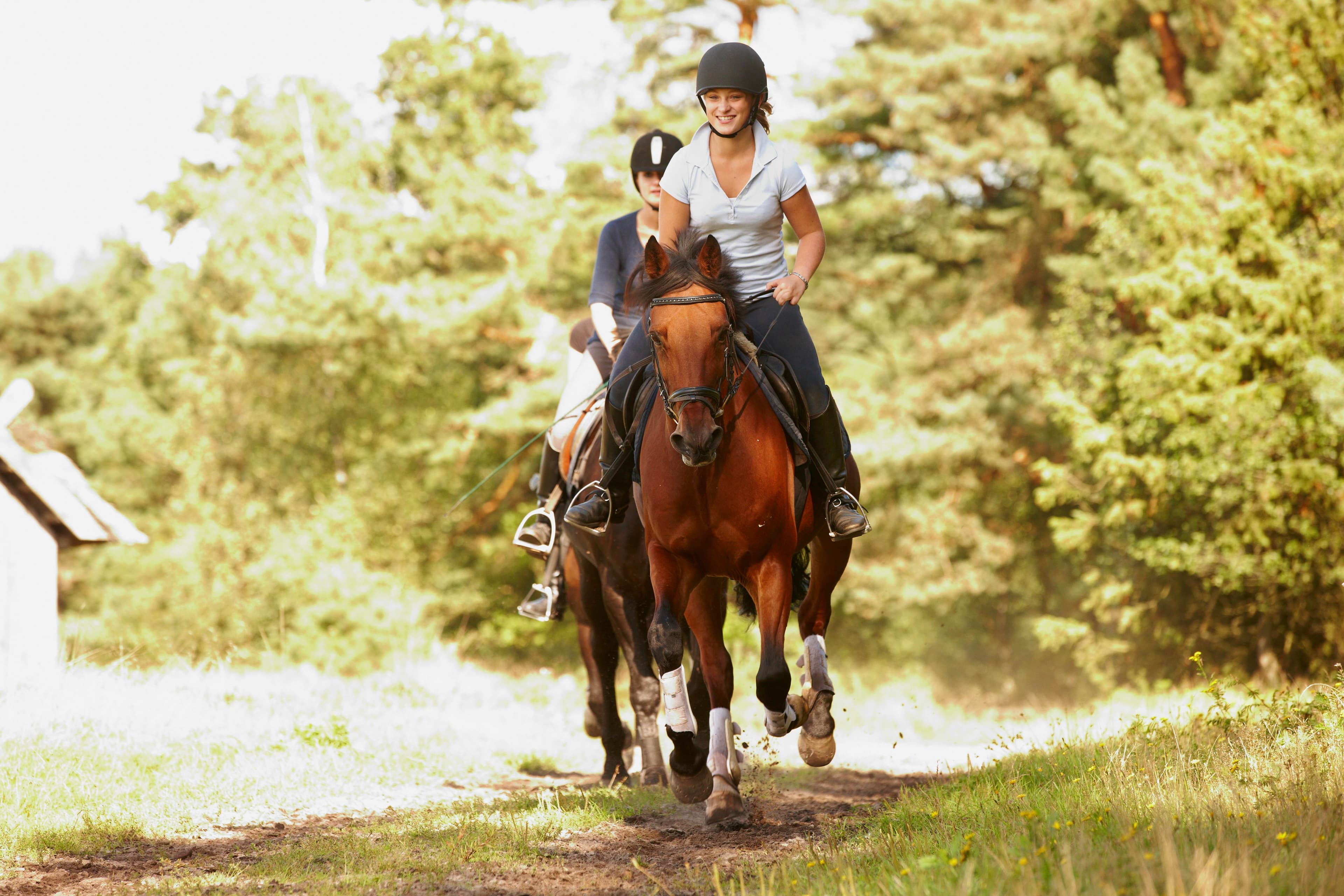 galoppierende Reiter