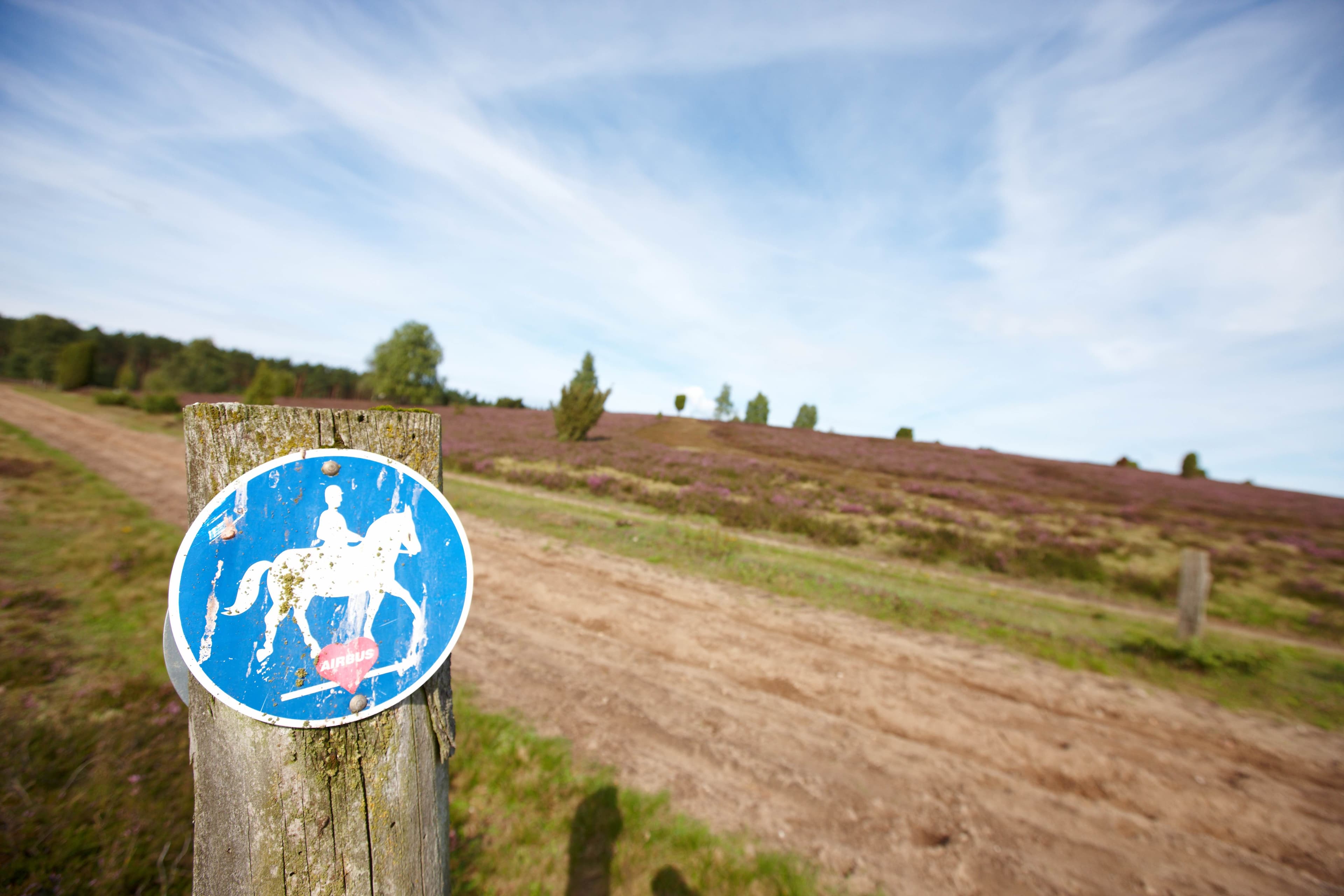 Reitschild in der Heide