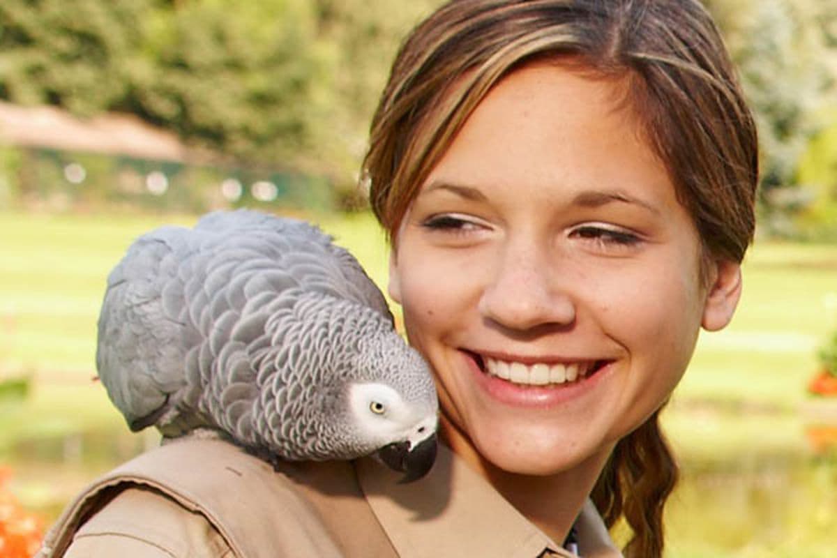 den vögeln ganz nah im Vogelpark Walsrode