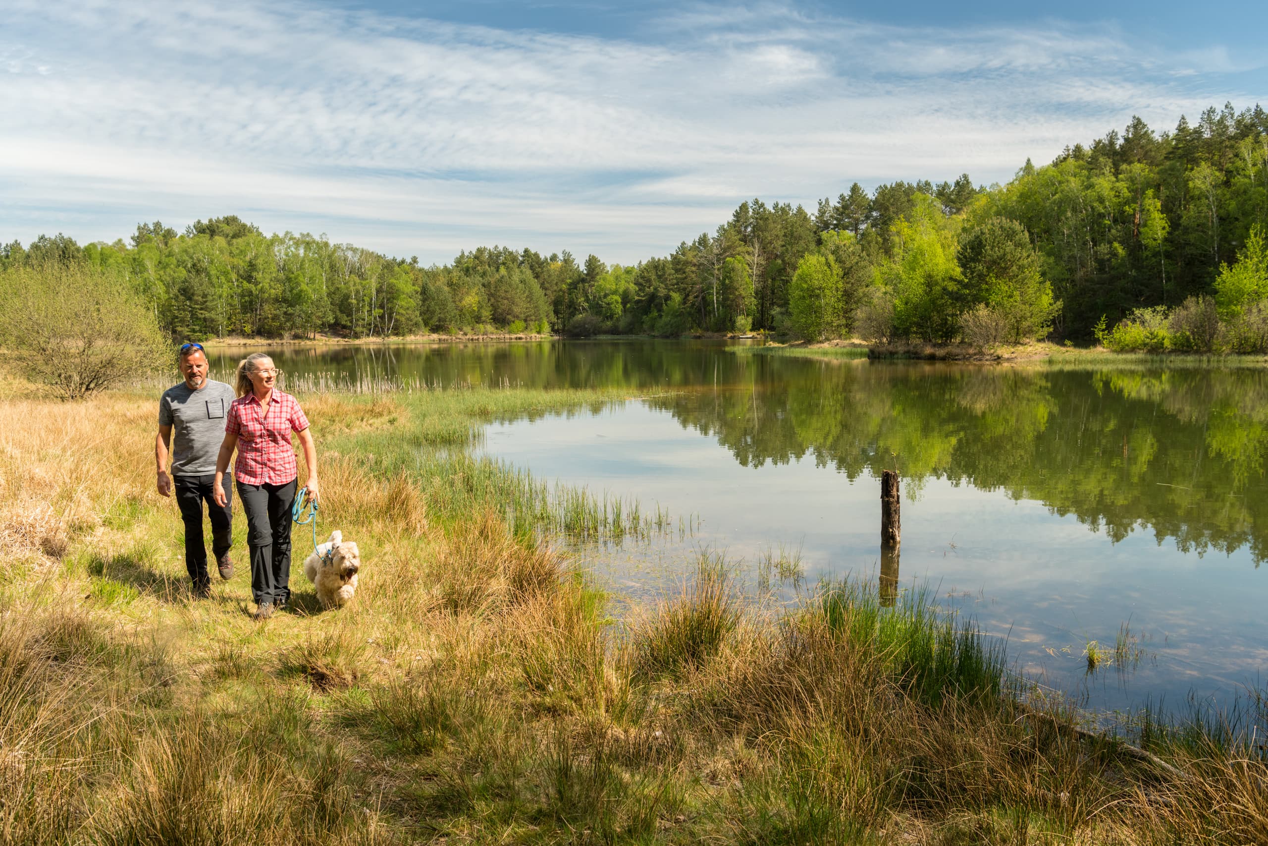 In der Oberoher Heide bei Müden (Örtze)