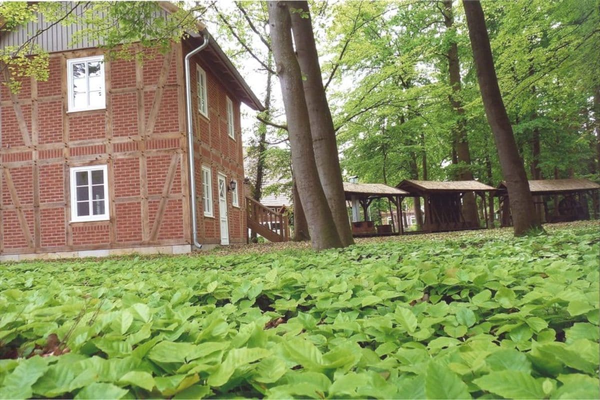 Salinenhaus Sülze Südheide