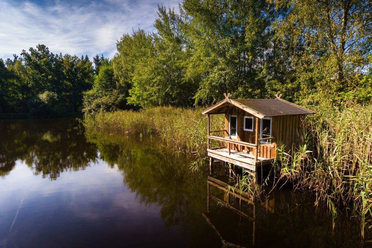 Idyllischer See bei Eversen Südheide