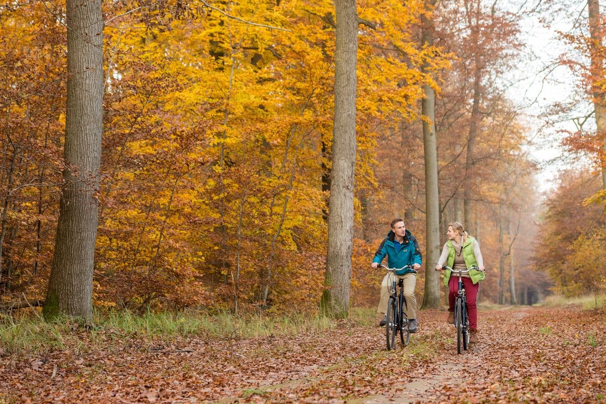 Fahrradtour Lüßwald Südheide