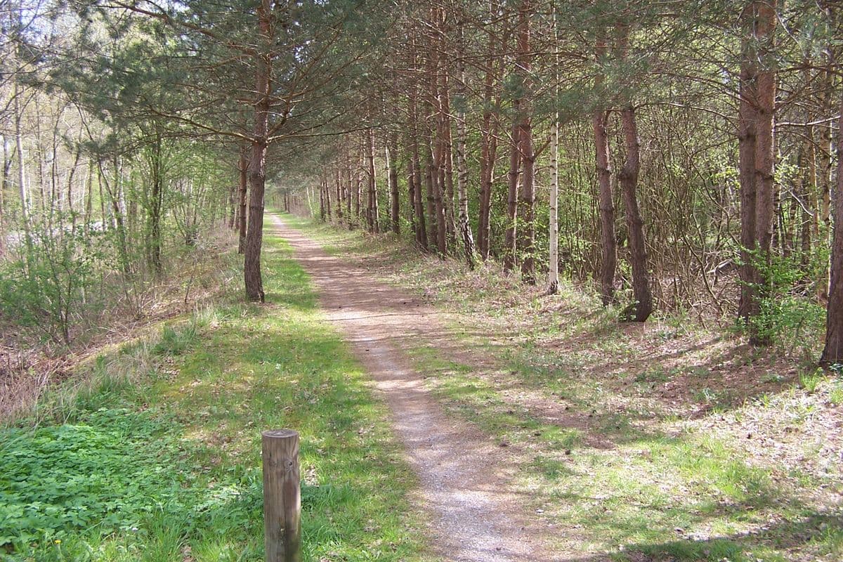 Der NABU Naturlehrpfad in Langlingen