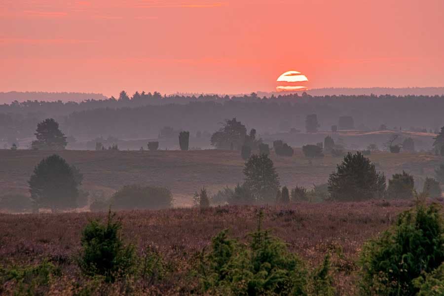 Wanderung nah an der Natur auf dem Heidschnuckenweg