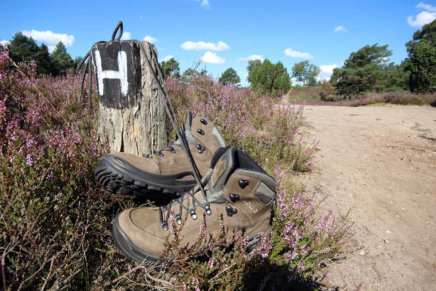 Niedersachsens schönster Wanderweg, der Heidschnuckenweg ist mit dem H gekennzeichnet