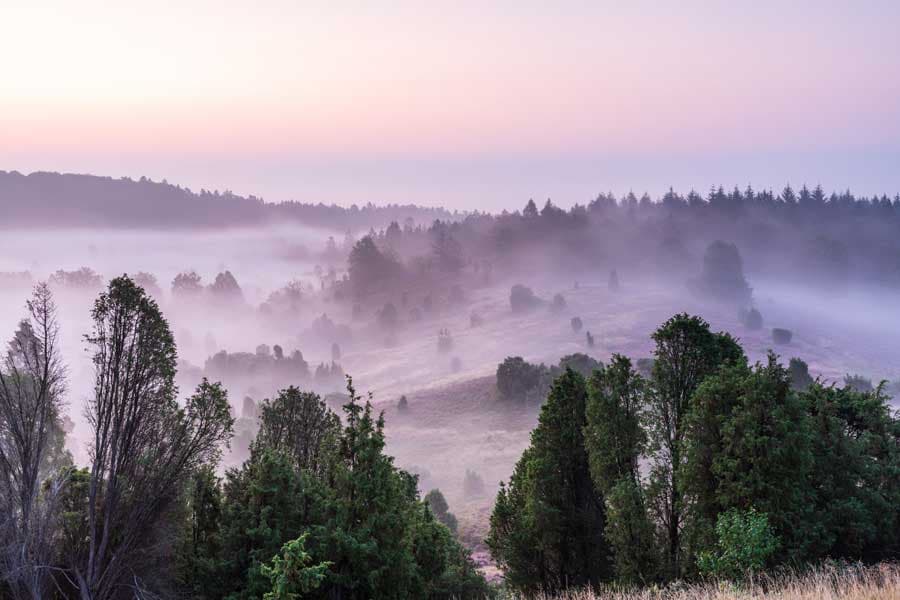Ein Höhepunkt auf dem Heidschnuckenweg. Der Totengrund
