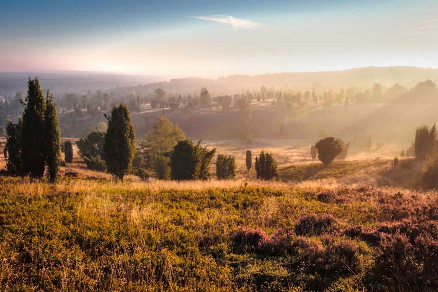 Das Herz der Heide ist der Wilseder Berg