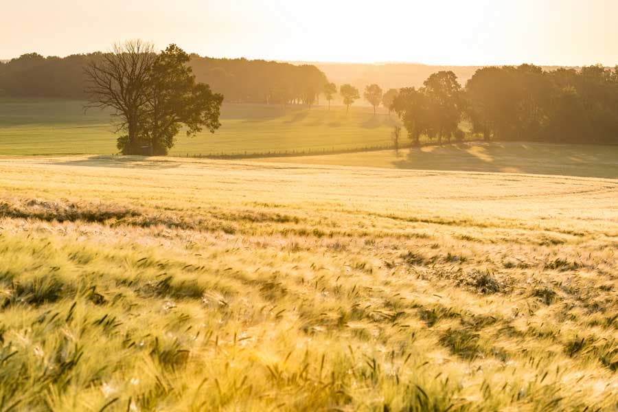 Bispingen Luhe Luhetal am Heidschnuckenweg Etappe 6