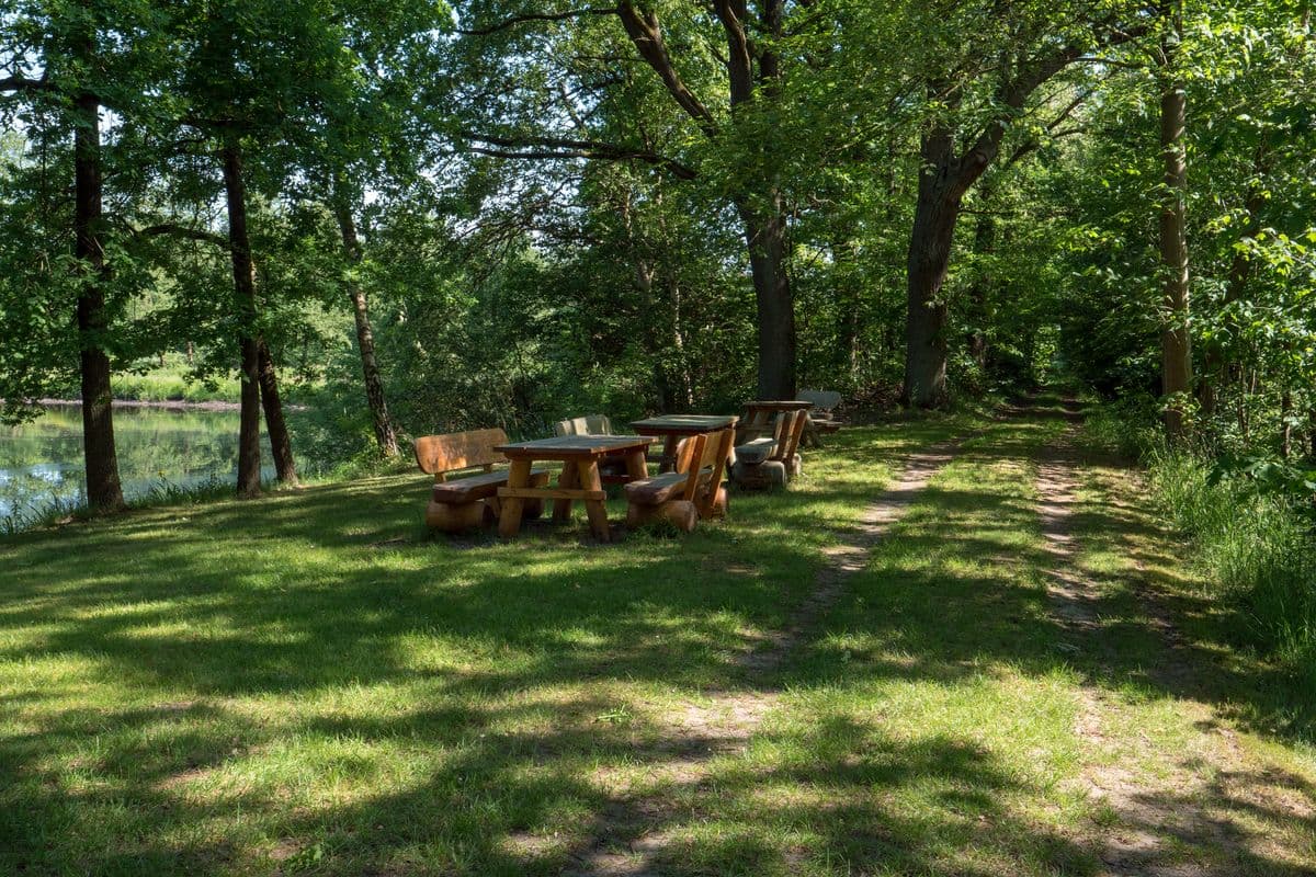 An den Aschauteichen bei Eschede