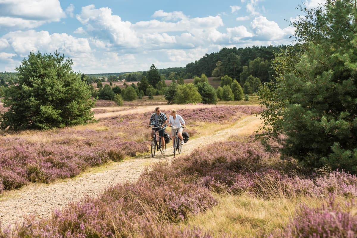 Radtour durch die Lüneburger Heide