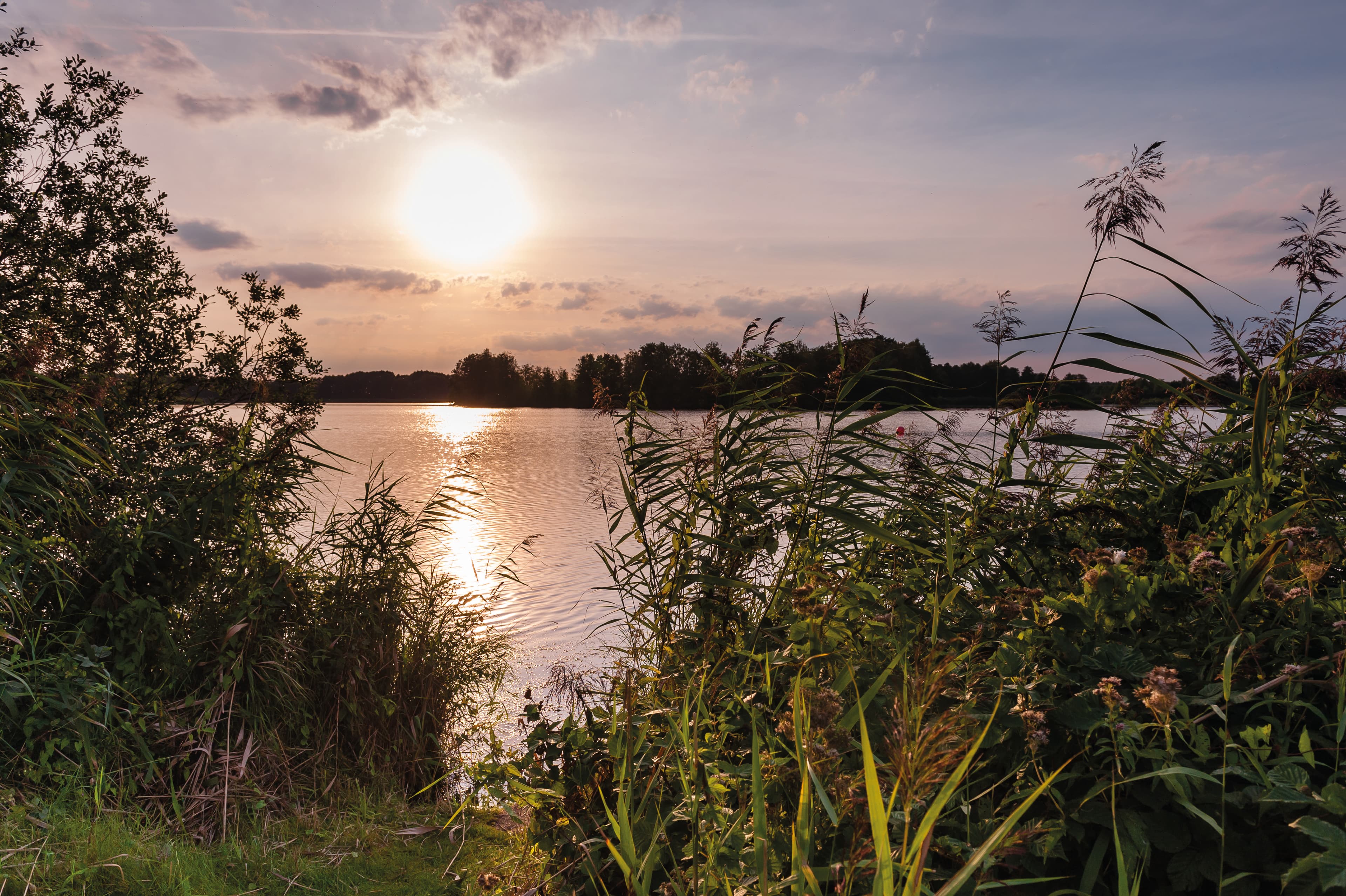 meissendorfer teiche