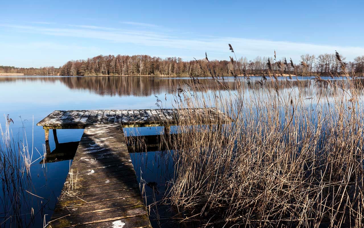 Vogelschutzgebiet Jastorer See bei Bad Bevensen in der Lüneburger Heide