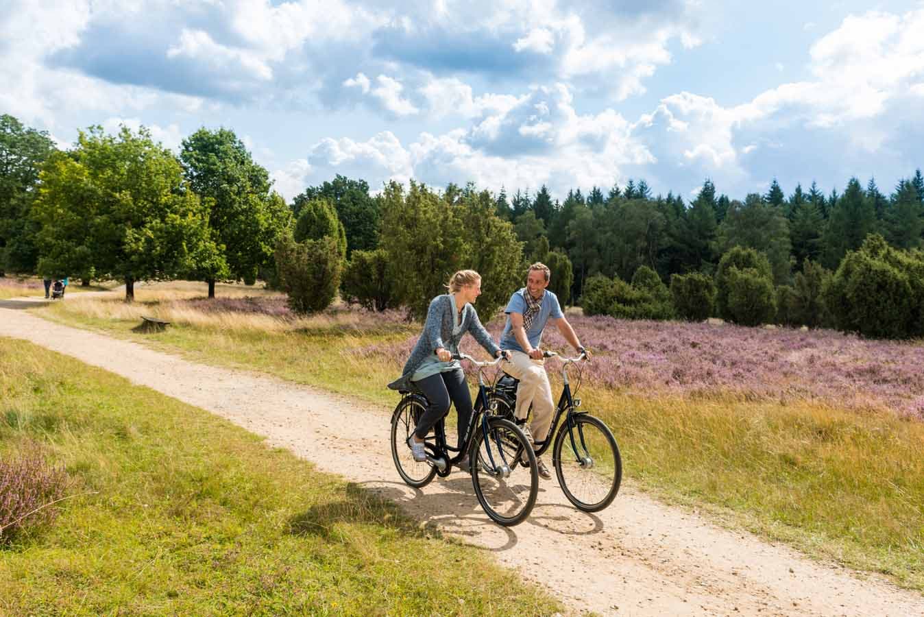 Radfahrer in der Bodenteicher Heide bei Bad Bodenteich in der ADFC-RadReiseRegion Uelzen in der Lüneburger Heide