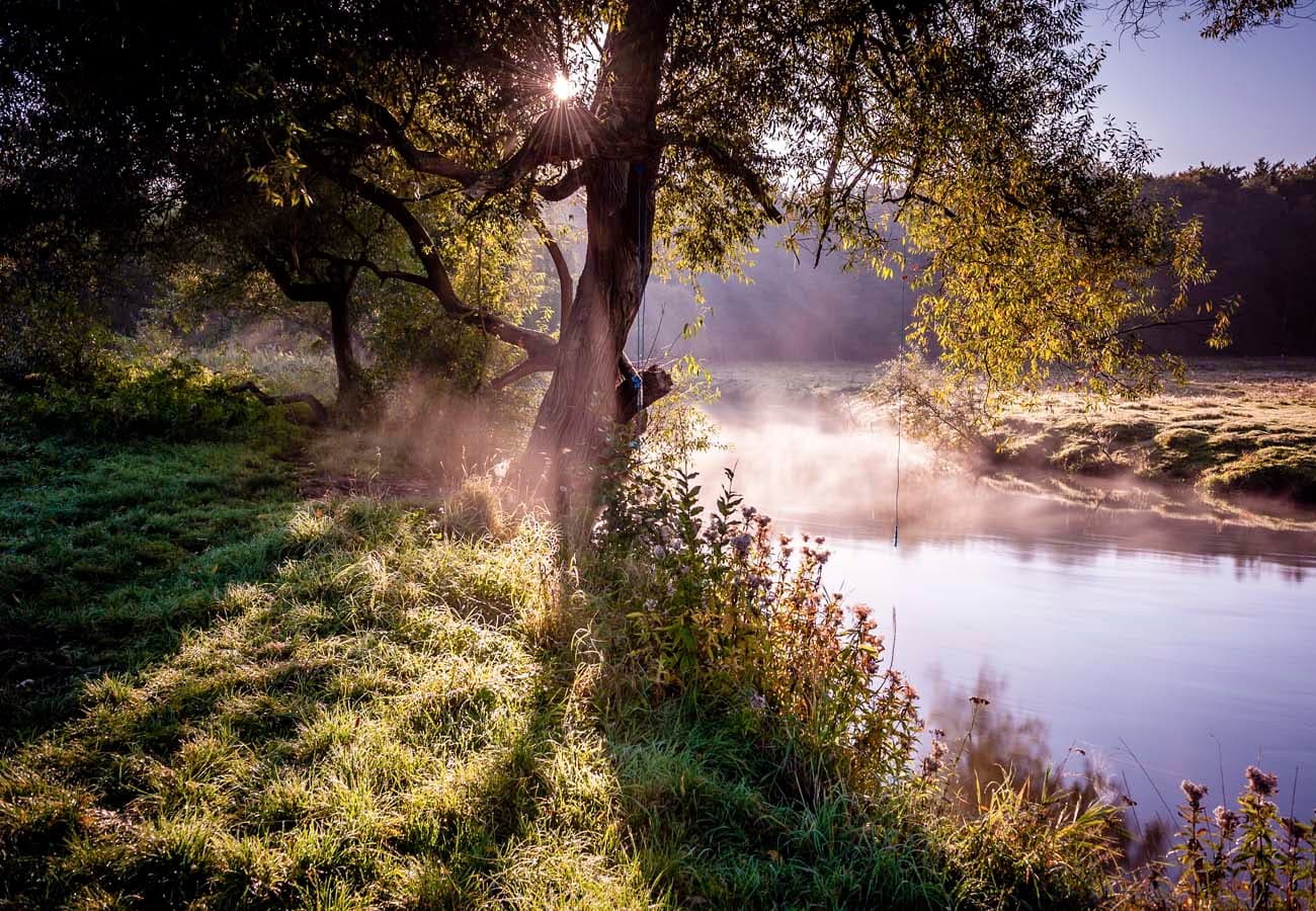 Der Heidefluss Ilmenau im Wilschenbruch bei Lüneburg