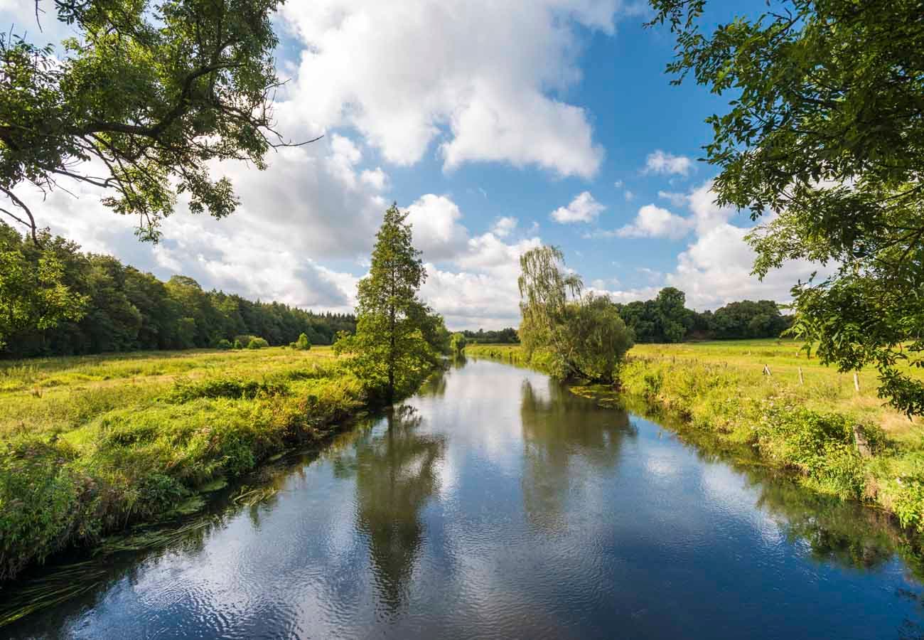 Blick auf die Ilmenau von der Teufelsbrücke bei Lüneburg in der Lüneburger Heide